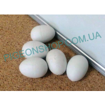 Яйця штучні для голубів